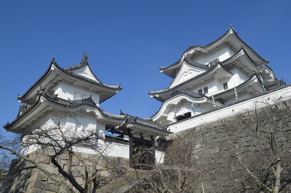 Il castello di Iga Ueno tra il verde