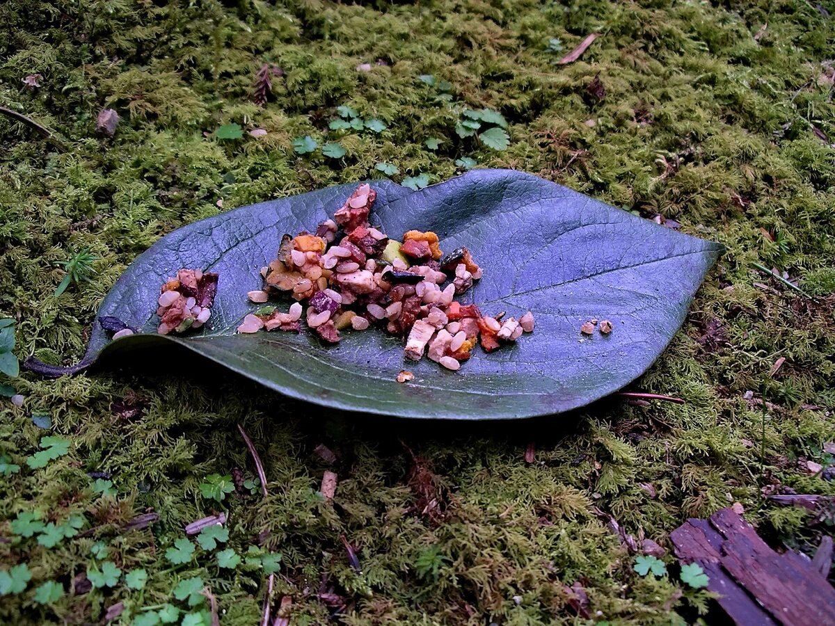 Offerta di Obon collocata nel cimitero di Okunoin a Kōyasan