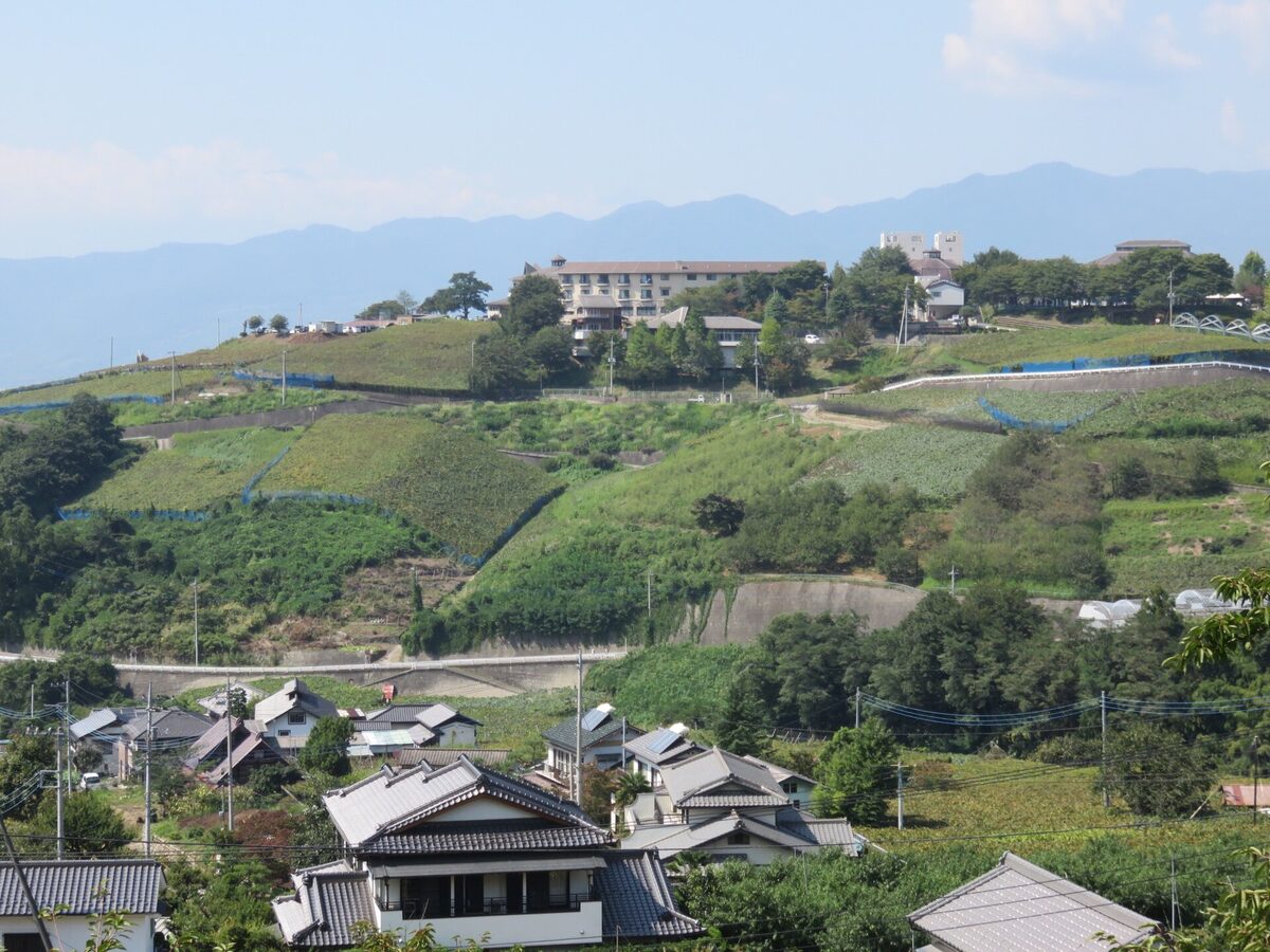 Vigneti a Katsunuma, nella città di Kōshū, prefettura di Yamanashi