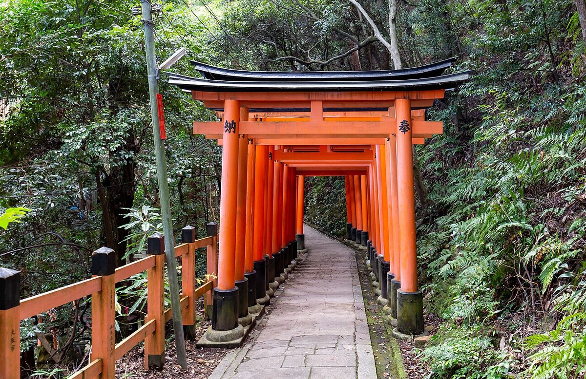 Il percorso sotto i torii vermigli del Fushimi Inari Taisha a Kyoto